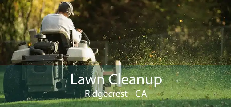 Lawn Cleanup Ridgecrest - CA