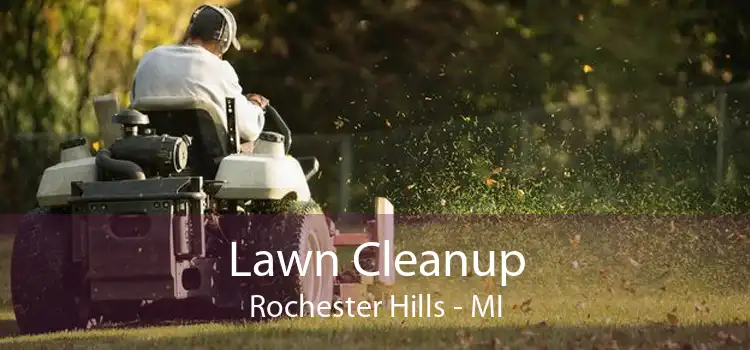 Lawn Cleanup Rochester Hills - MI