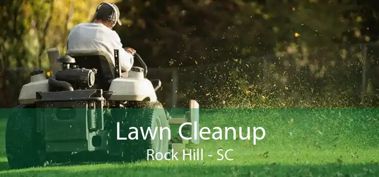 Lawn Cleanup Rock Hill - SC