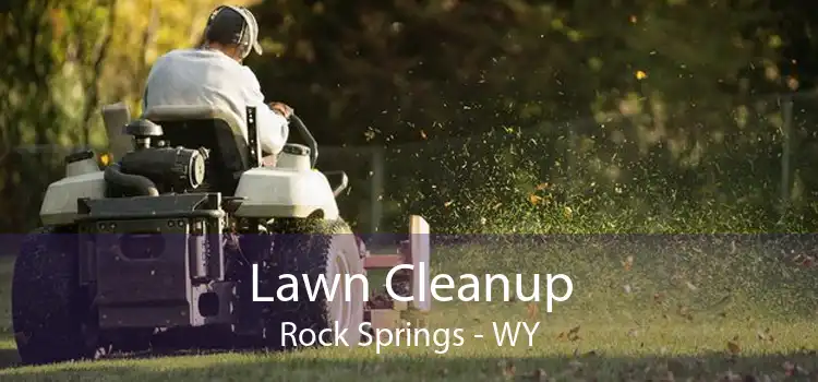 Lawn Cleanup Rock Springs - WY