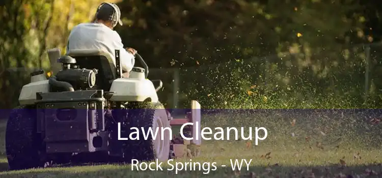 Lawn Cleanup Rock Springs - WY