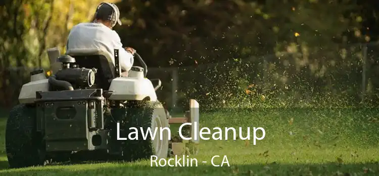  Lawn Cleanup Rocklin - CA