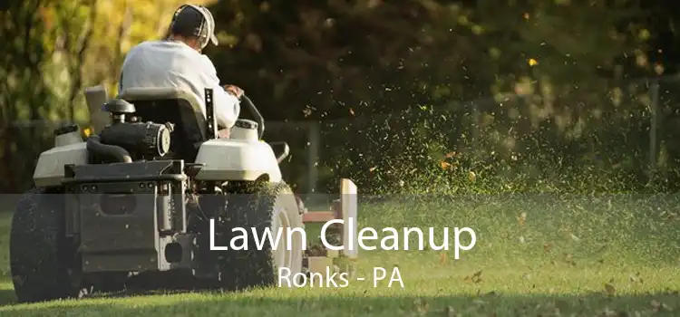 Lawn Cleanup Ronks - PA
