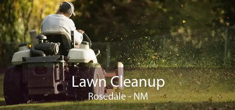 Lawn Cleanup Rosedale - NM