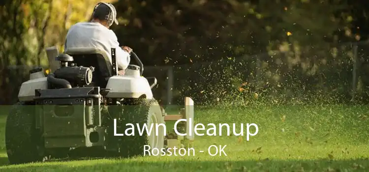 Lawn Cleanup Rosston - OK