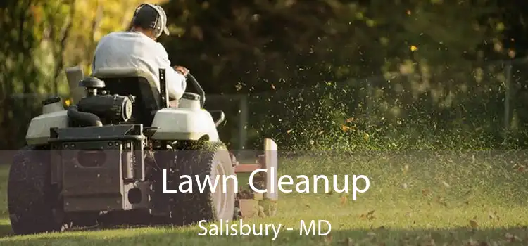 Lawn Cleanup Salisbury - MD