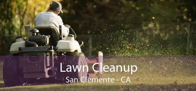 Lawn Cleanup San Clemente - CA