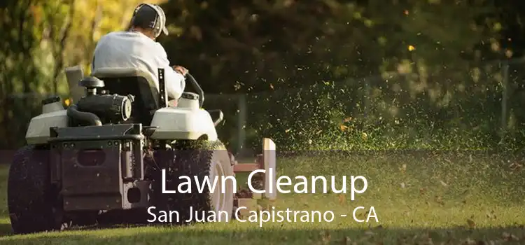 Lawn Cleanup San Juan Capistrano - CA
