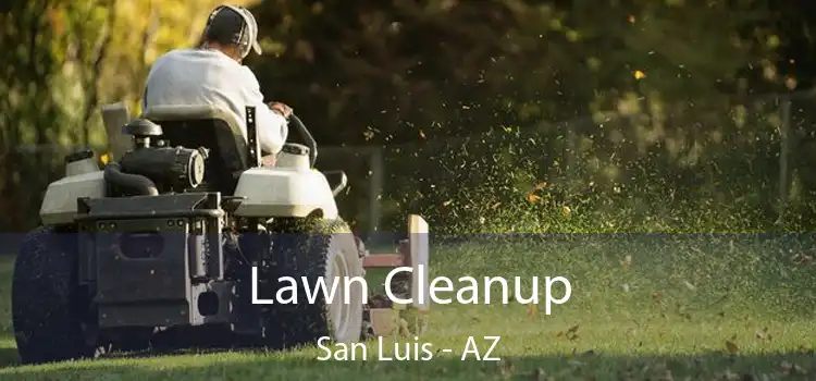  Lawn Cleanup San Luis - AZ