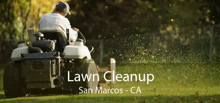 Lawn Cleanup San Marcos - CA