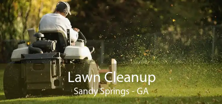 Lawn Cleanup Sandy Springs - GA