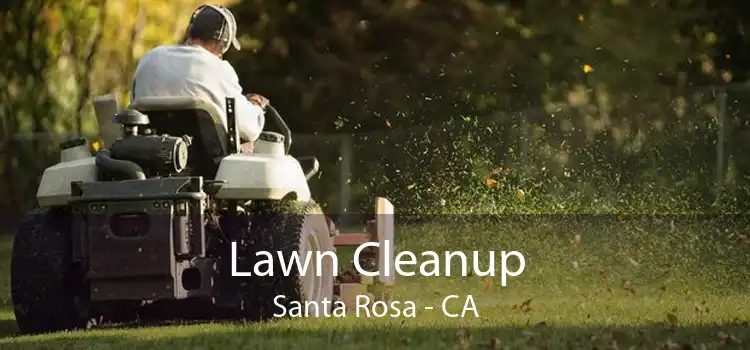 Lawn Cleanup Santa Rosa - CA