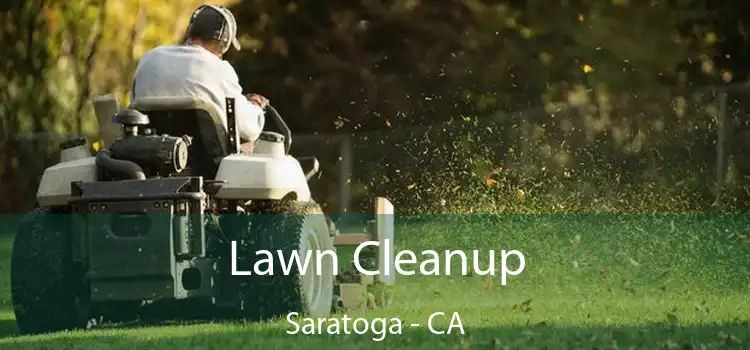 Lawn Cleanup Saratoga - CA