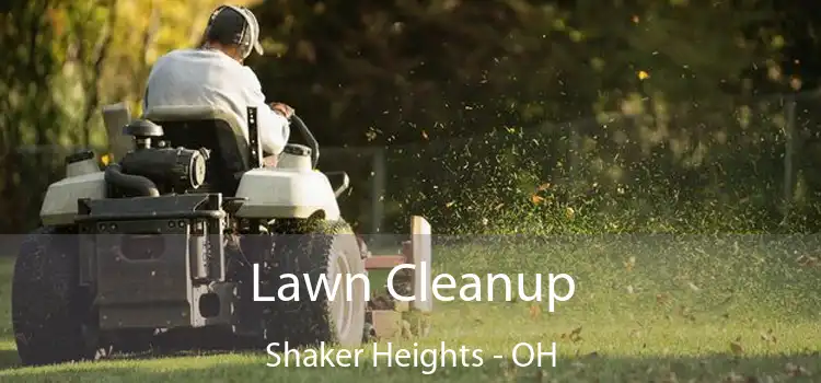 Lawn Cleanup Shaker Heights - OH