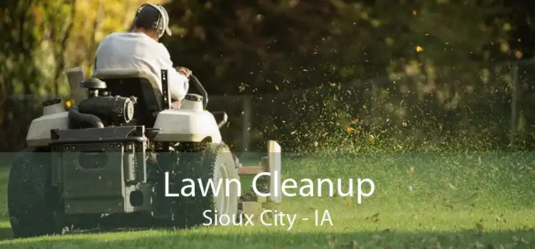 Lawn Cleanup Sioux City - IA