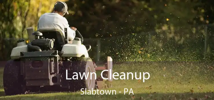  Lawn Cleanup Slabtown - PA