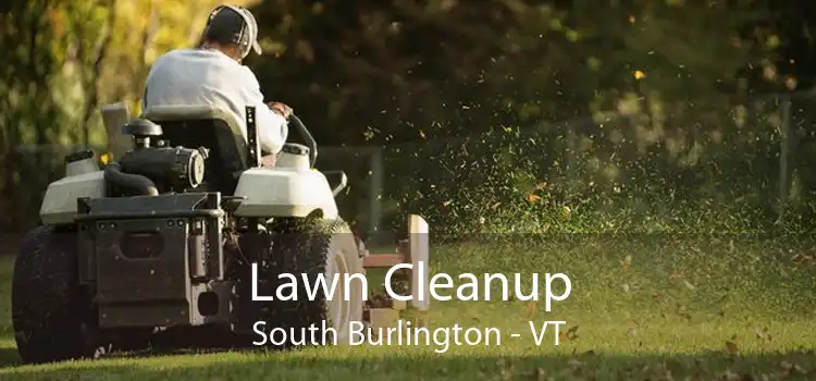 Lawn Cleanup South Burlington - VT