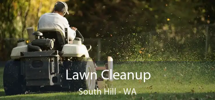 Lawn Cleanup South Hill - WA