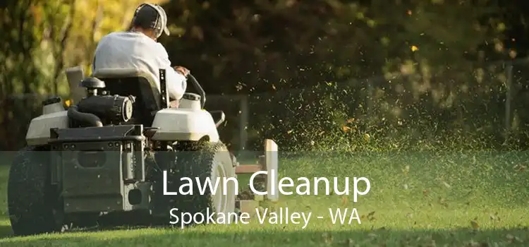 Lawn Cleanup Spokane Valley - WA
