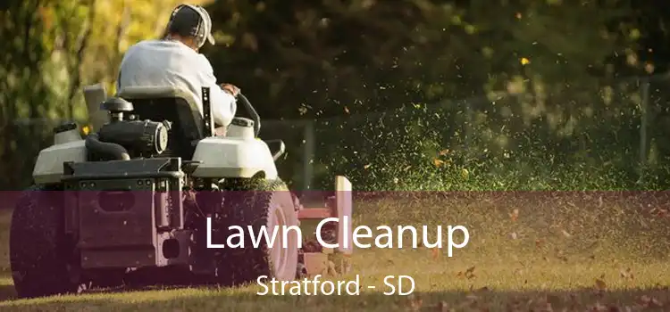  Lawn Cleanup Stratford - SD