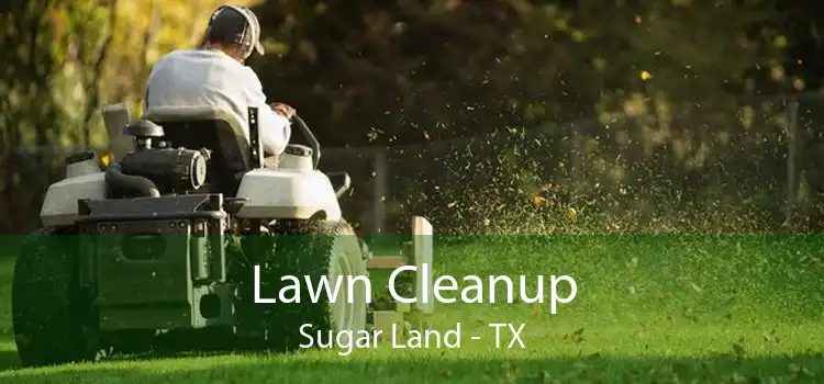 Lawn Cleanup Sugar Land - TX