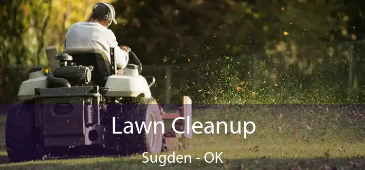  Lawn Cleanup Sugden - OK