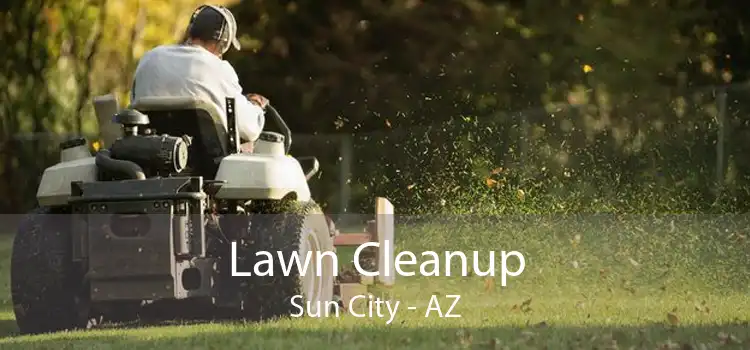 Lawn Cleanup Sun City - AZ