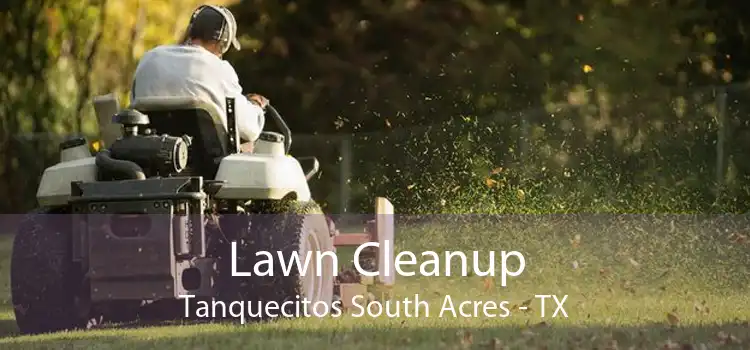 Lawn Cleanup Tanquecitos South Acres - TX