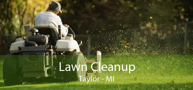 Lawn Cleanup Taylor - MI