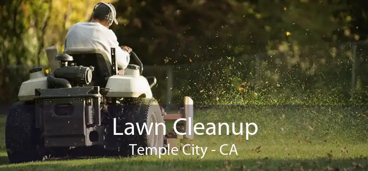 Lawn Cleanup Temple City - CA