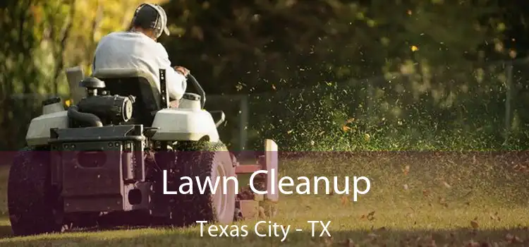  Lawn Cleanup Texas City - TX