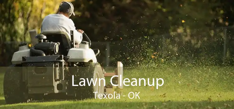 Lawn Cleanup Texola - OK