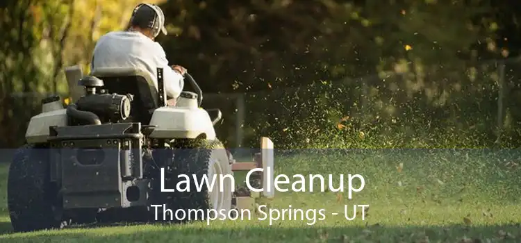 Lawn Cleanup Thompson Springs - UT