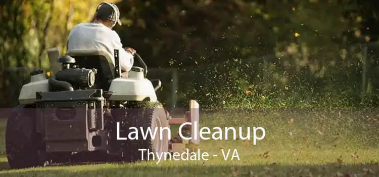 Lawn Cleanup Thynedale - VA