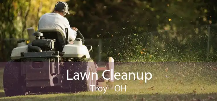 Lawn Cleanup Troy - OH