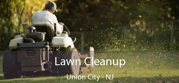 Lawn Cleanup Union City - NJ