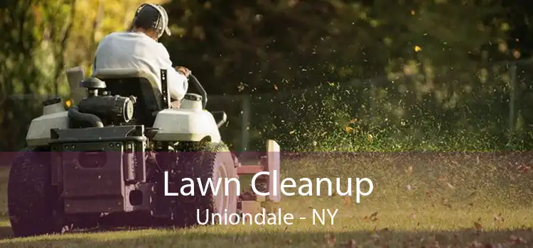Lawn Cleanup Uniondale - NY