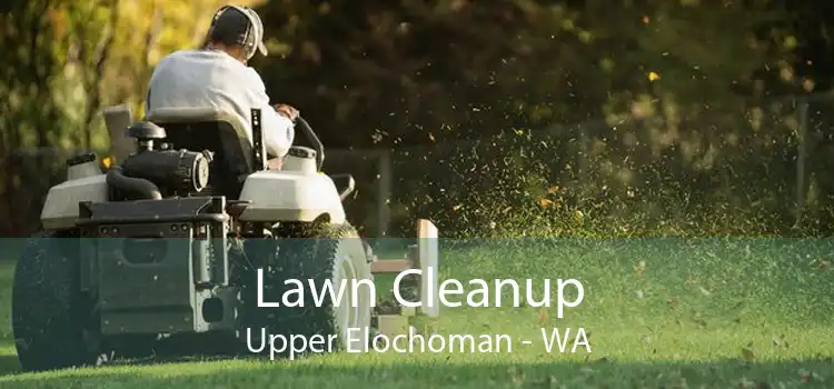 Lawn Cleanup Upper Elochoman - WA