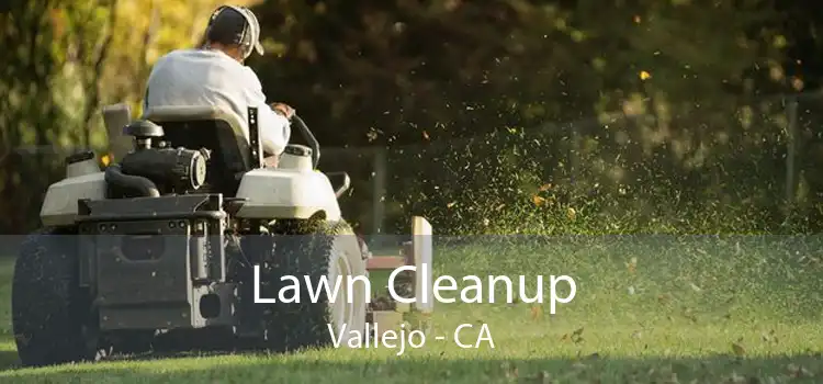 Lawn Cleanup Vallejo - CA