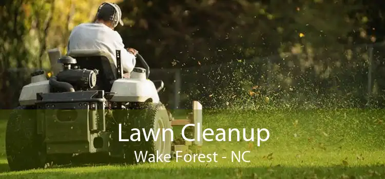 Lawn Cleanup Wake Forest - NC