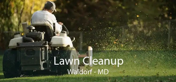 Lawn Cleanup Waldorf - MD