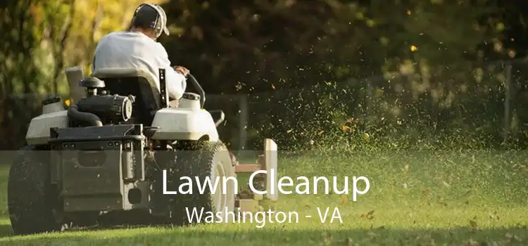 Lawn Cleanup Washington - VA