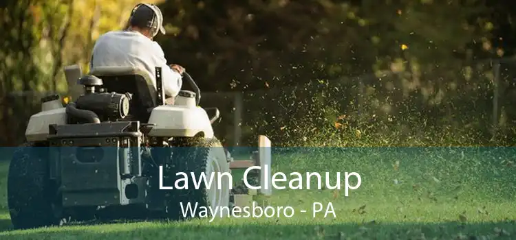 Lawn Cleanup Waynesboro - PA