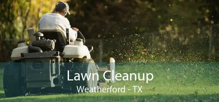 Lawn Cleanup Weatherford - TX
