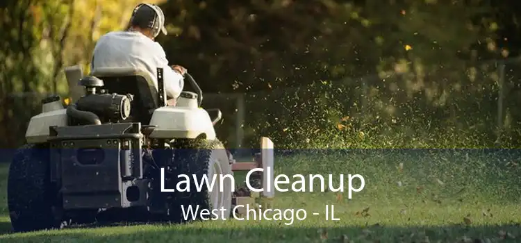 Lawn Cleanup West Chicago - IL
