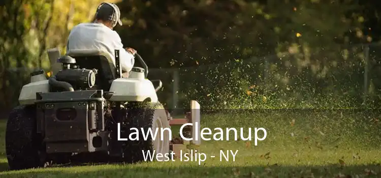 Lawn Cleanup West Islip - NY