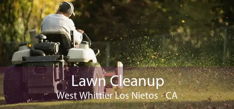 Lawn Cleanup West Whittier Los Nietos - CA