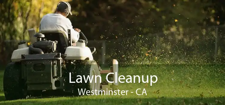 Lawn Cleanup Westminster - CA