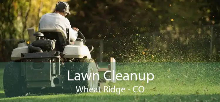 Lawn Cleanup Wheat Ridge - CO