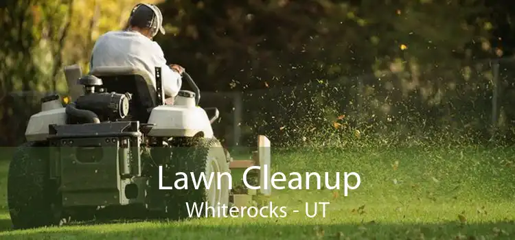 Lawn Cleanup Whiterocks - UT